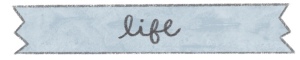 blue banner with life in cursive
